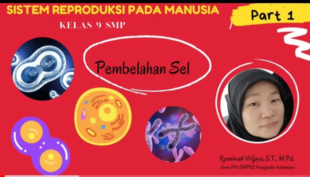 Transformasi Energi Dalam Sel - Download Modul Ajar Ilmu Pengetahuan ...