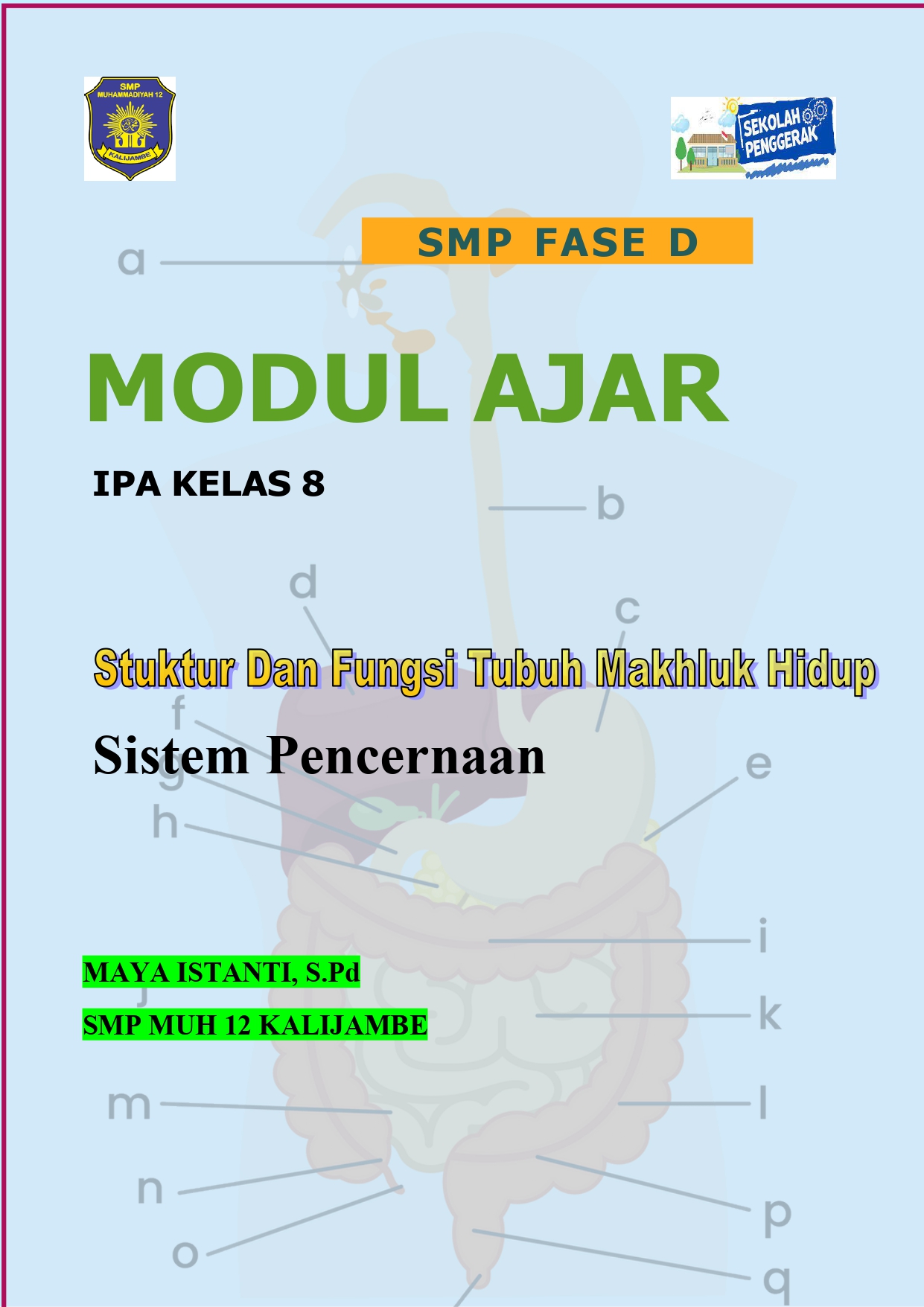 Modul Ajar Sistem Pencernaan (organ Dan Fungsi) - Download Modul Ajar ...