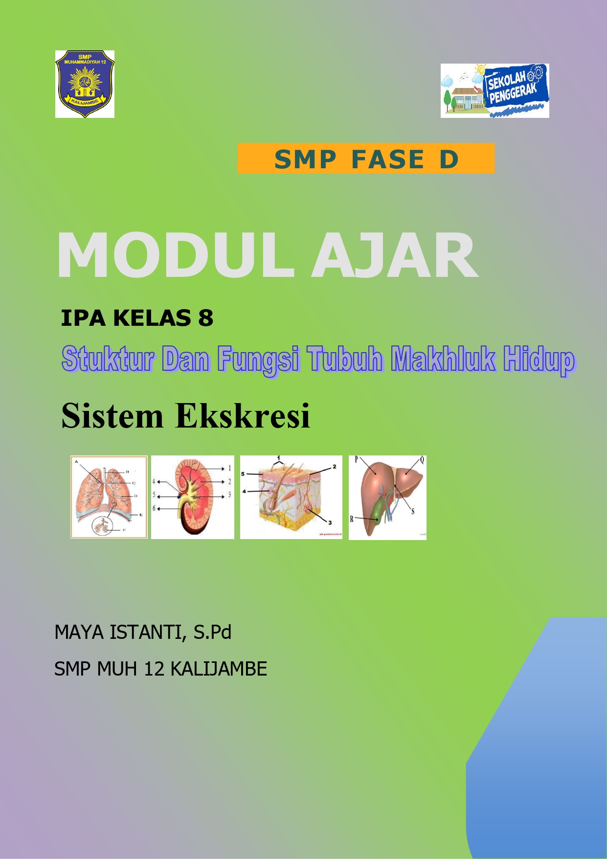 Modul Ajar Stuktur Dan Fungsi Tubuh Makhluk Hidupsistem Ekskresi Download Modul Ajar Ilmu 2889