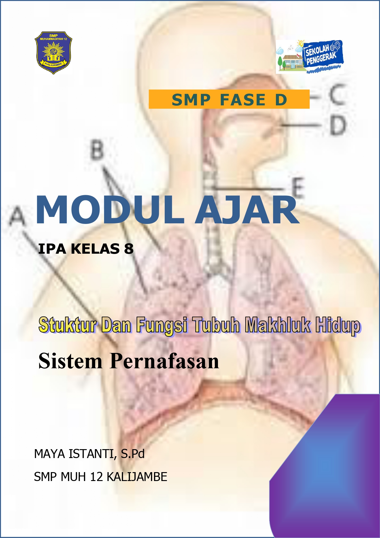 Modul Ajar Sistem Pernapasan Modul Ajar Ipa Struktur Dan Fungsi Tubuh